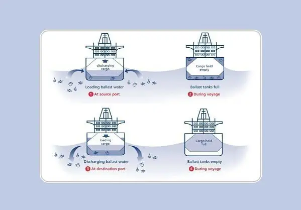 Ballast Water Management System